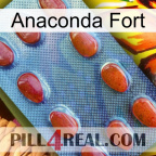 Anaconda Strong 06